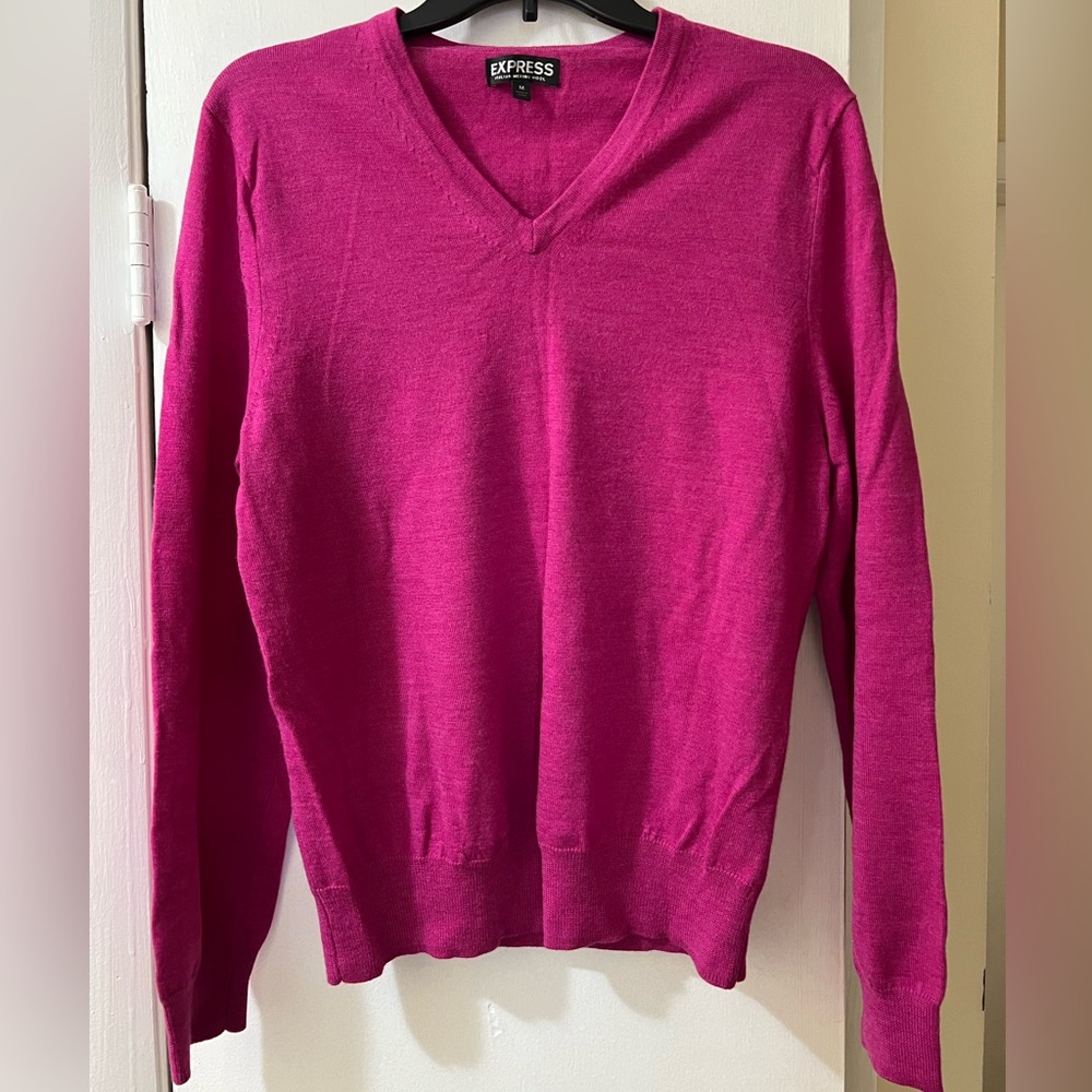 Express Women’s Fuchsia V-Neck Sweater